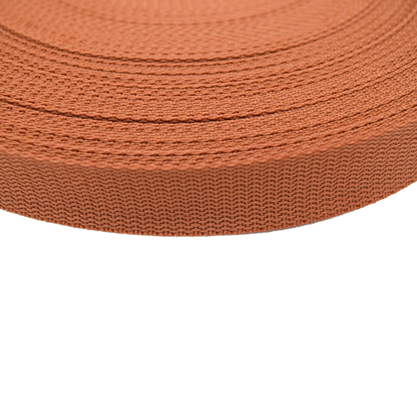 Polypropylene Webbing Strap Tape 10m Long